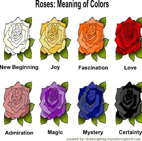 tflmk meaning